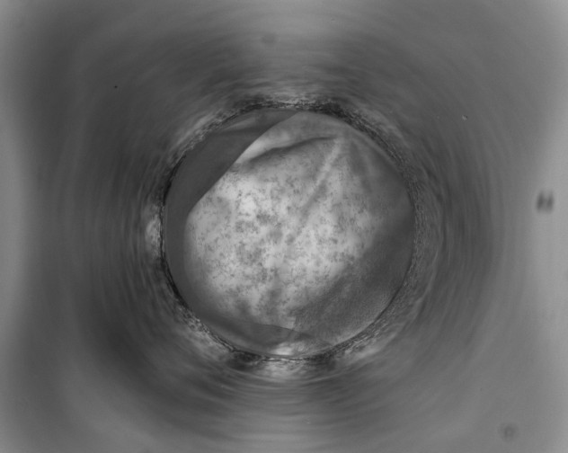 X0000098200720200805151228
