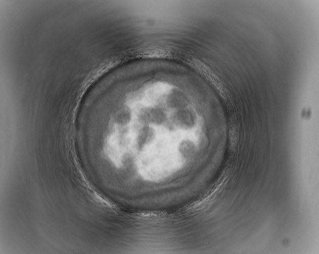 X0000098200721200805151227