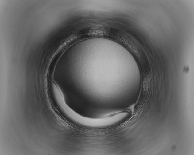 X0000098200722200805151228