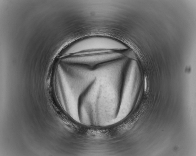 X0000098200723200805151228