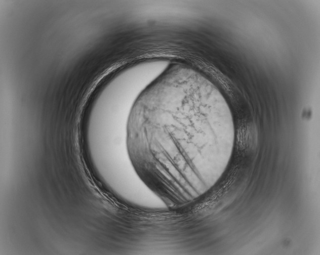 X0000098200724200805151228