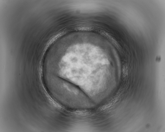 X0000098200725200805151228
