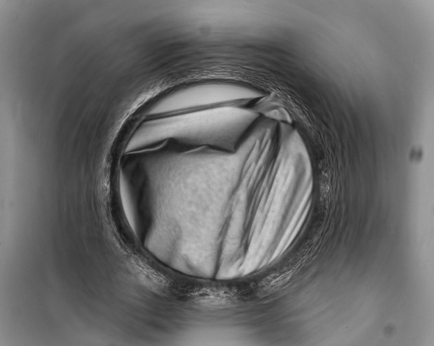 X0000098200727200805151228