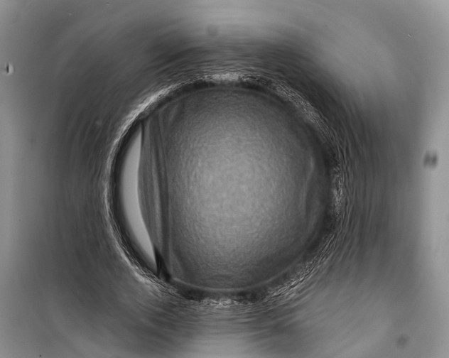 X0000098200728200805151228