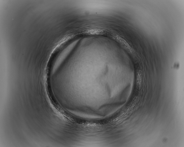 X0000098200730200805151228