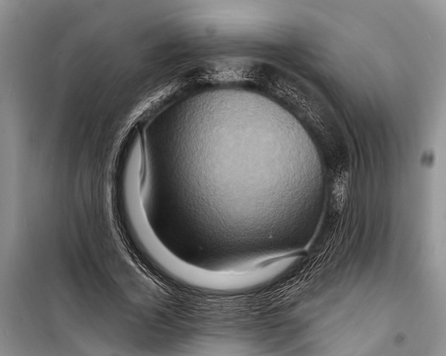 X0000098200732200805151228