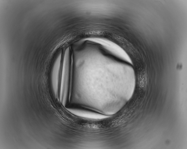 X0000098200735200805151228