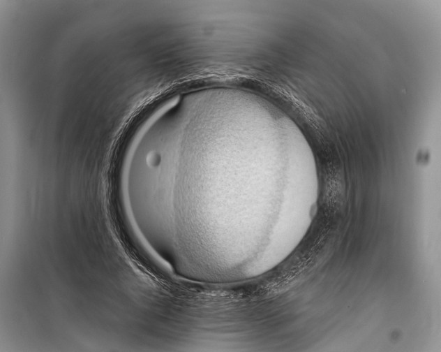 X0000098200736200805151228