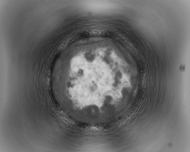 X0000098200737200805151228