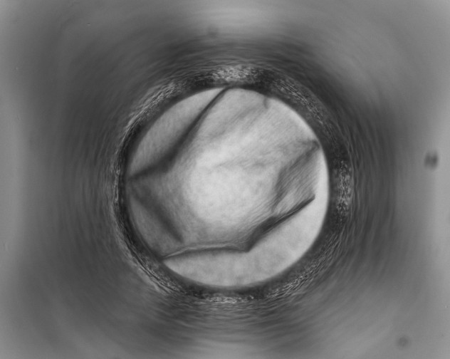 X0000098200738200805151228