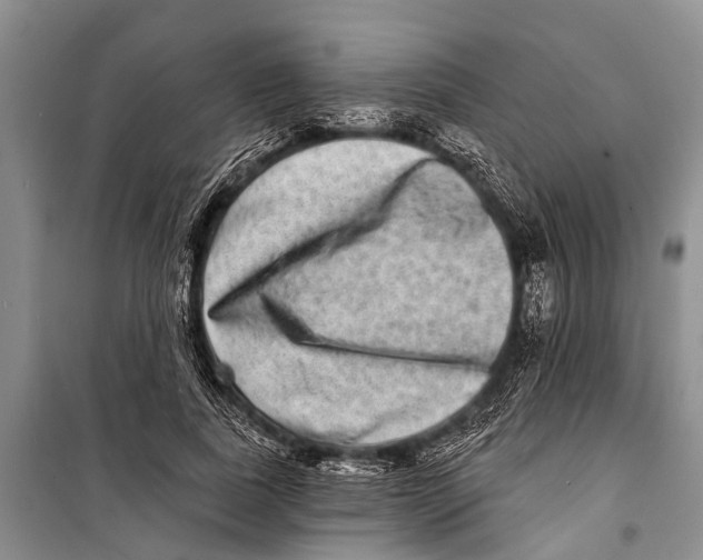 X0000098200739200805151228