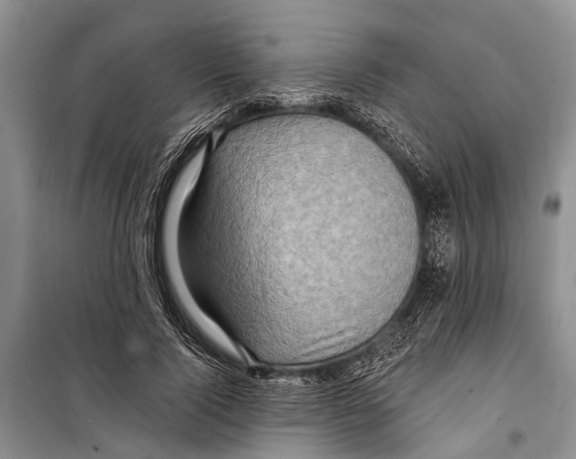 X0000098200740200805151228