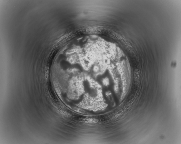 X0000098200741200805151228