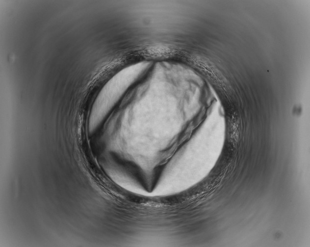 X0000098200742200805151228