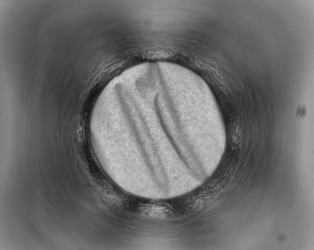 X0000098200743200805151228