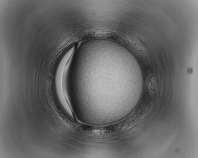 X0000098200744200805151228