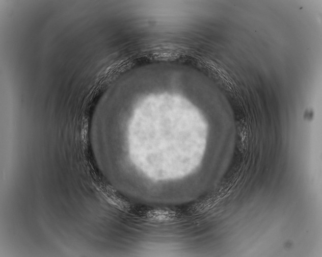 X0000098200745200805151228