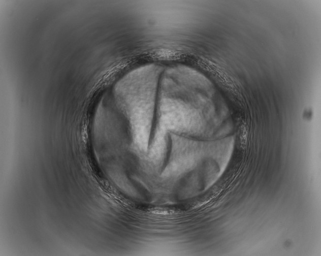 X0000098200746200805151228