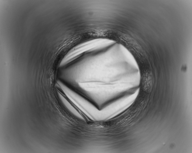 X0000098200747200805151228