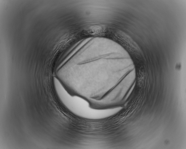 X0000098200748200805151228