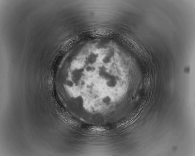 X0000098200749200805151228