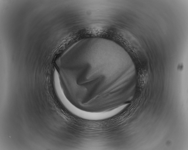 X0000098200750200805151228