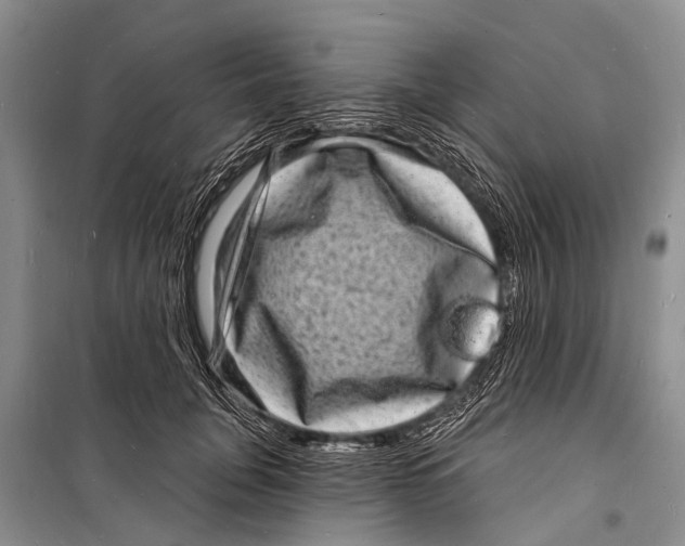 X0000098200751200805151228