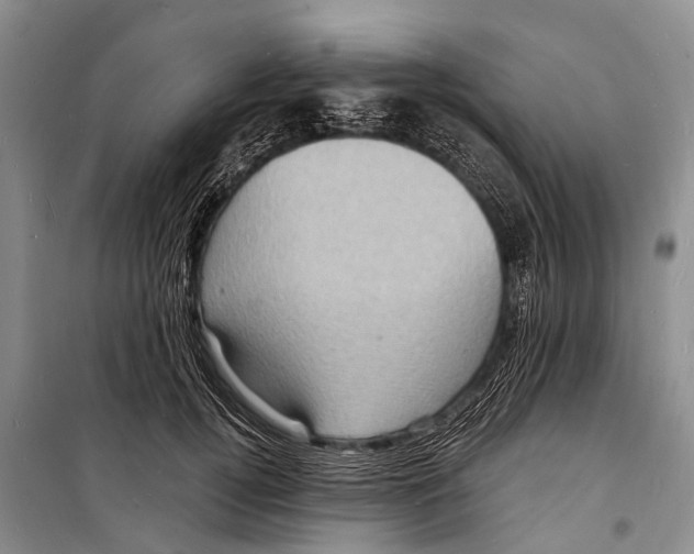 X0000098200752200805151228