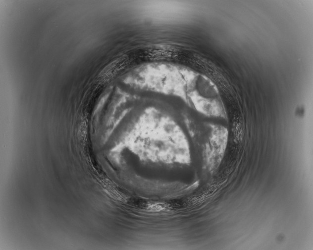 X0000098200753200805151228