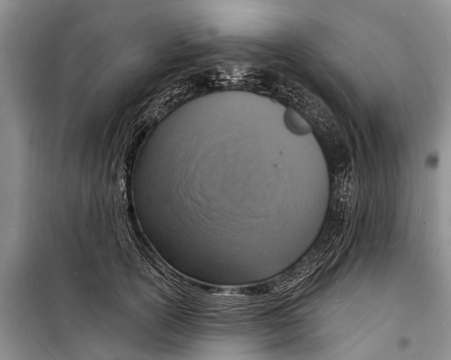 X0000098200754200805151228