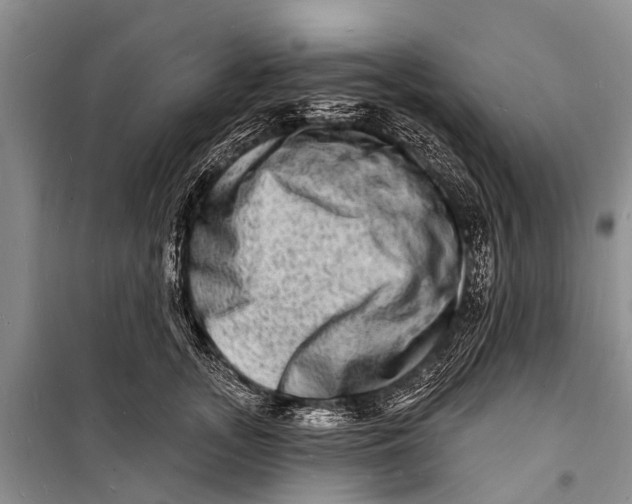 X0000098200755200805151228