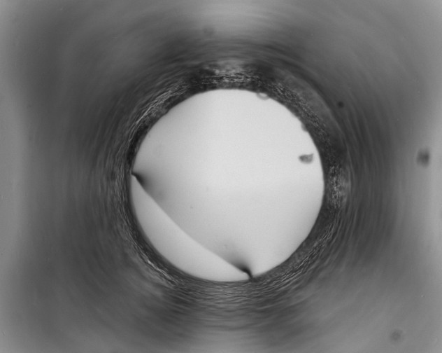 X0000098200756200805151228