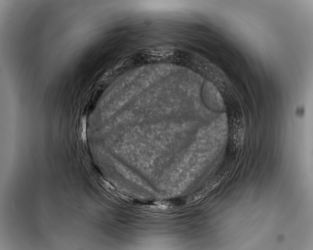 X0000098200758200805151228