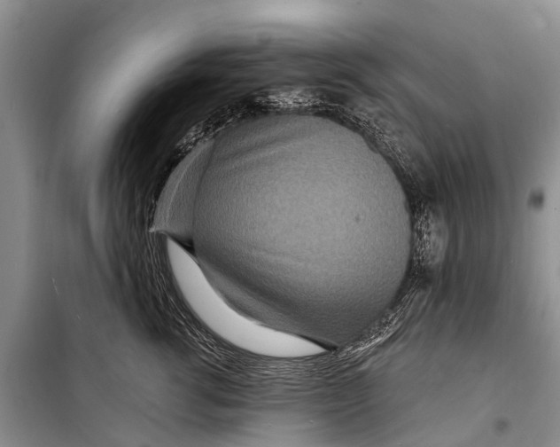 X0000098200762200805151228