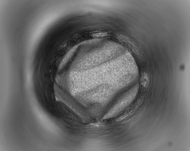 X0000098200763200805151228