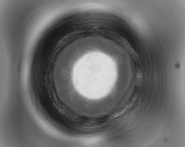 X0000098200765200805151228