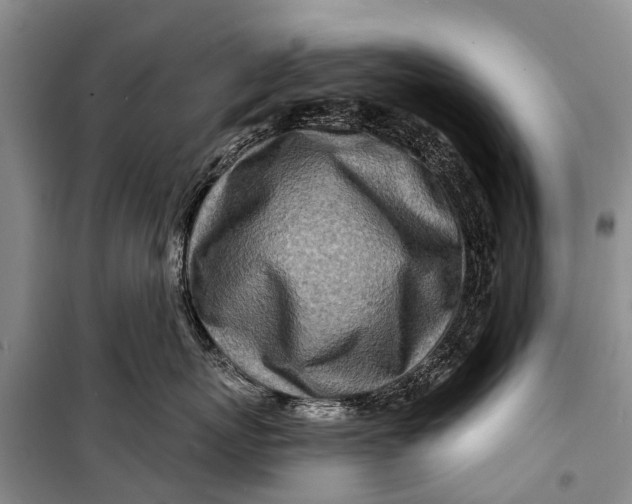 X0000098200767200805151228
