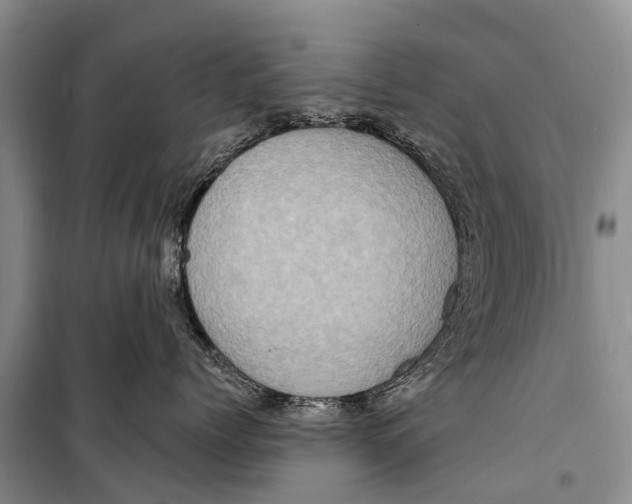 X0000098200768200805151228