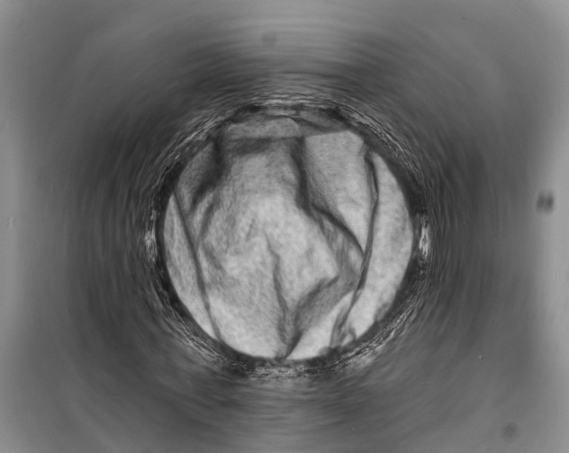 X0000098200771200805151227