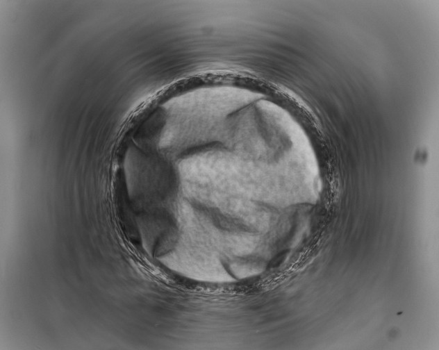 X0000098200775200805151227