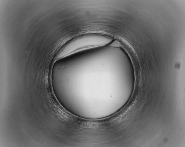 X0000098200777200805151227
