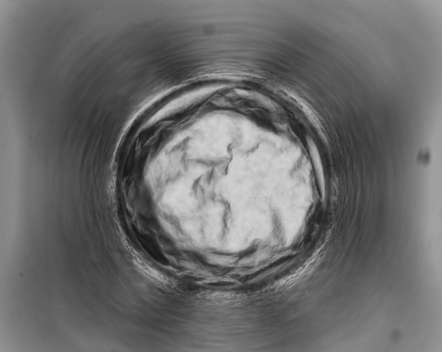 X0000098200779200805151227