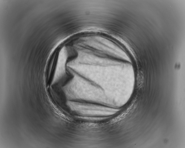 X0000098200783200805151227