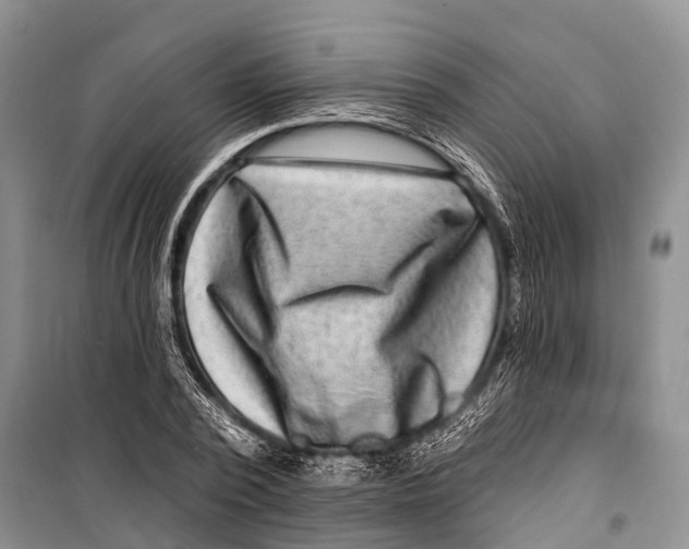 X0000098200784200805151227