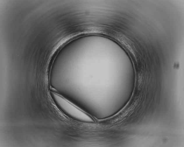 X0000098200789200805151227