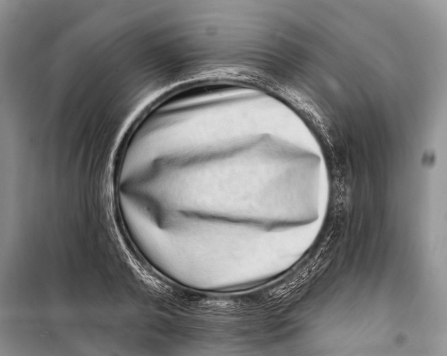 X0000098200792200805151227