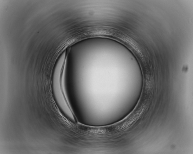 X0000098200793200805151227