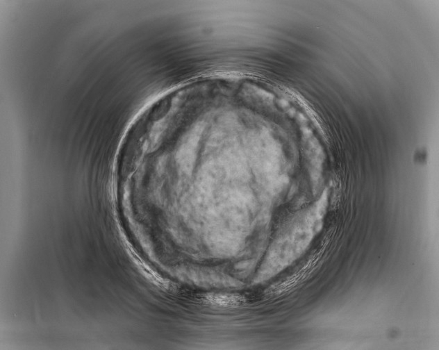 X0000098200795200805151227