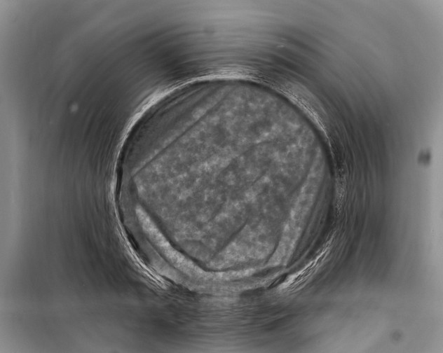 X0000098200797200805151227
