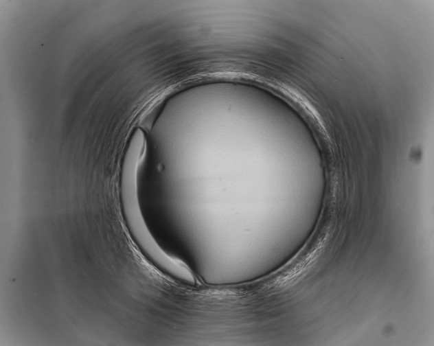 X0000098200801200805151227